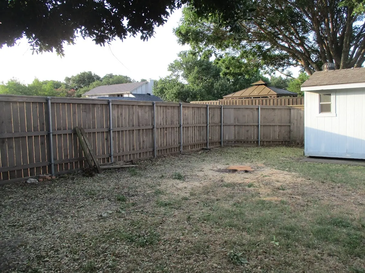 Cleared yard after professional tree removal in Belews Creek