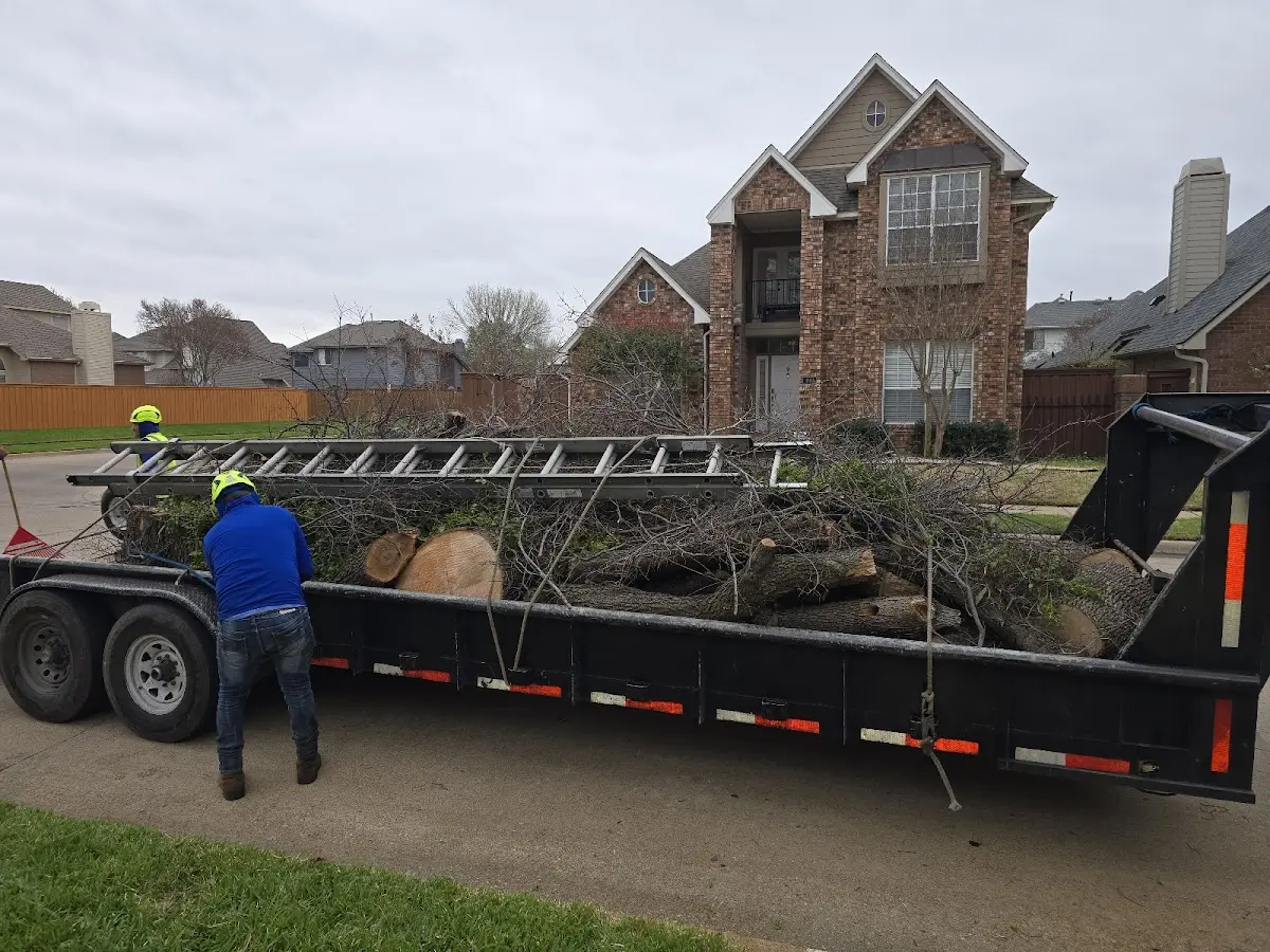 Expert Crown Reduction with proper safety equipment in Belews Creek
